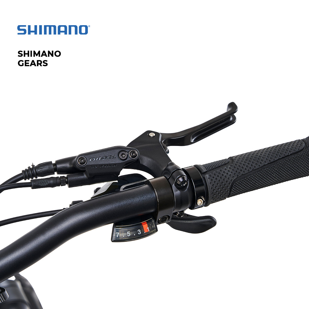 Soro Foldable Electric bike (2025)