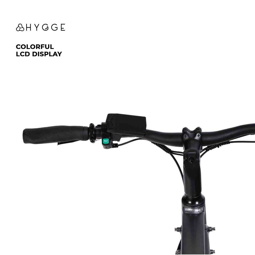 Aarhus Electric Bike 2025- City