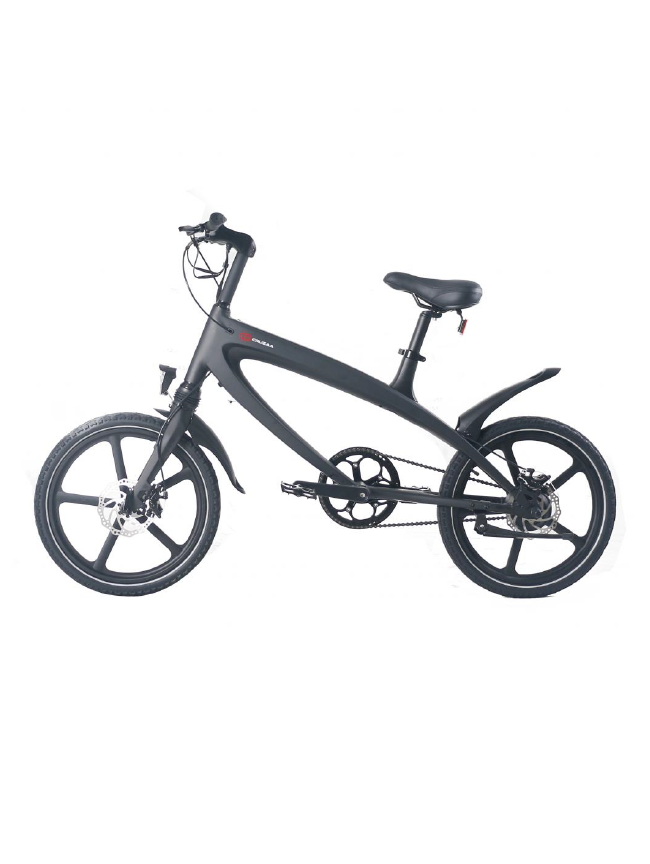 The Cruzaa e-Bike