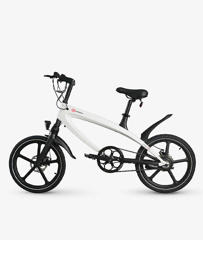 The Cruzaa e-Bike