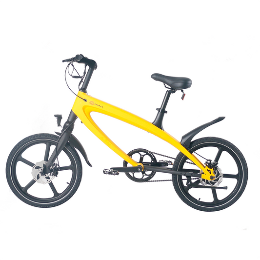 The Cruzaa e-Bike